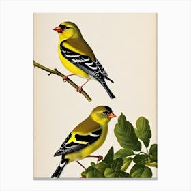 American Goldfinch James Audubon Vintage Style Bird Canvas Print