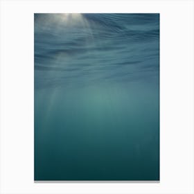 Under The Sea 43 Canvas Print