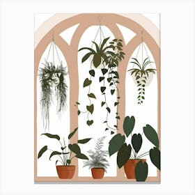 Houseplants 3 Canvas Print