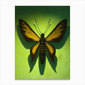 Butterfly 4 Canvas Print