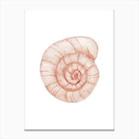 Watercolor Seashell 3 Canvas Print