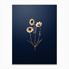 Gold Botanical Perennial Dyer's Coreopsis Flower on Midnight Navy Canvas Print