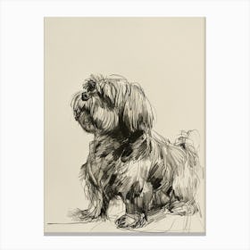 Lhasa Apso Dog Line Sketch 1 Canvas Print