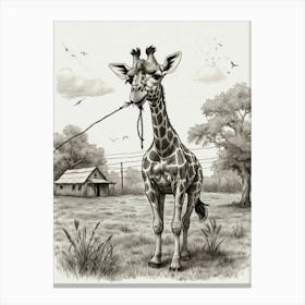 Giraffe 25 Canvas Print