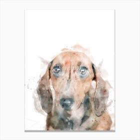 Dachshund Watercolour Dog Canvas Print