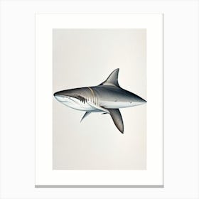 Dusky Shark Vintage Canvas Print