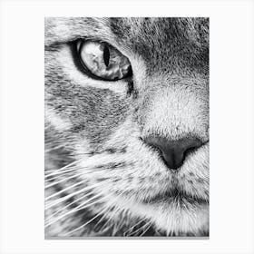 Cat Portrait Black And White Animal Photography Canvas Print