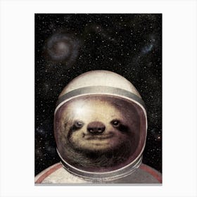 Space Sloth Canvas Print