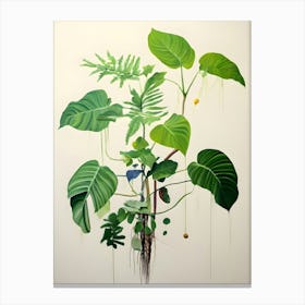 Tropical Plant 1 Canvas Print