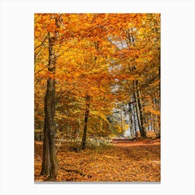 Autumn In The Woods forest Canvas Print