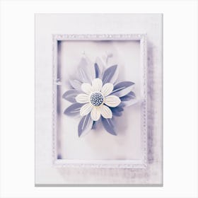 Daisy Flower Canvas Print