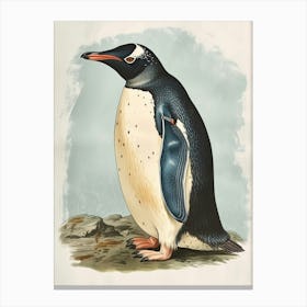 Adlie Penguin Laurie Island Vintage Botanical Painting 2 Canvas Print