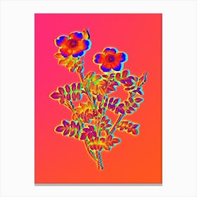 Neon Variegated Burnet Rose Botanical in Hot Pink and Electric Blue n.0075 Canvas Print