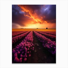 Sunset Over A Field Of Flowers Canvas Print