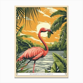 Greater Flamingo Rio Lagartos Yucatan Mexico Tropical Illustration 1 Poster Canvas Print