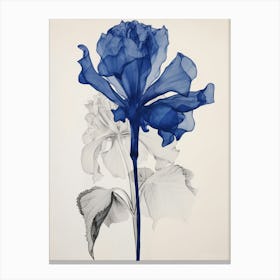 Blue Botanical Amaryllis 1 Canvas Print