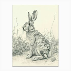Cinnamon Rabbit Drawing 3 Canvas Print
