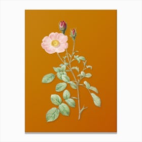 Vintage Sparkling Rose Botanical on Sunset Orange n.0213 Canvas Print