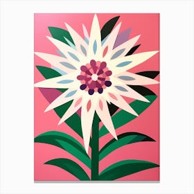 Cut Out Style Flower Art Edelweiss 2 Canvas Print