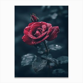 Red Rose In The Rain Canvas Print