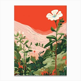 Boho Wildflower Painting White Campion 2 Canvas Print