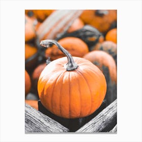 Pumpkins Canvas Print