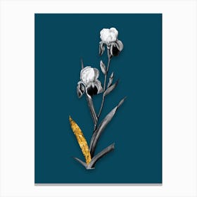Vintage Elder Scented Iris Black and White Gold Leaf Floral Art on Teal Blue n.1104 Canvas Print