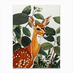 Deer In The Forest 16 Canvas Print