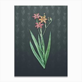 Vintage Blackberry Lily Botanical on Slate Gray Pattern n.1618 Canvas Print