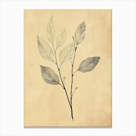 Leaf Branch Boho Minimalist Style Canvas Print