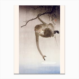 Monkey Catching Reflection Of The Moon, 1927, Ohara Koson Canvas Print