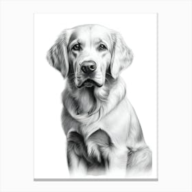 Golden Retriever 5 Canvas Print