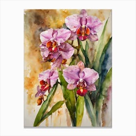 Lycaste Orchids Water Colour 2 Canvas Print