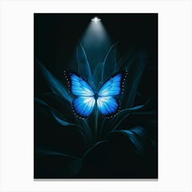 Blue Butterfly In The Dark Canvas Print