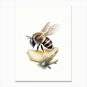 Solitary Bee 3 Vintage Canvas Print