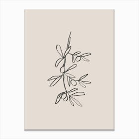 Olive Branch Beige Line Art Canvas Print