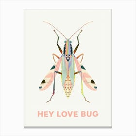 Hey Love Bug Poster 6 Canvas Print