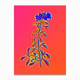 Neon Small White Flowers Botanical in Hot Pink and Electric Blue n.0225 Canvas Print