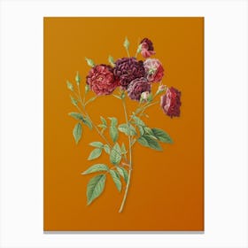 Vintage Ternaux Rose Bloom Botanical on Sunset Orange n.0267 Canvas Print