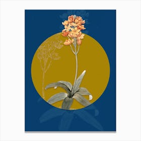 Vintage Botanical Sun Star on Circle Yellow on Blue n.0135 Canvas Print