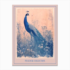 Peacock In The Meadow Cyanotype Inspired 2 Poster Canvas Print