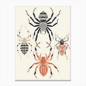 Colourful Insect Illustration Spider 2 Canvas Print