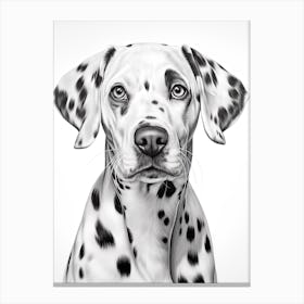 Dalmatian Dog, Line Drawing 1 Canvas Print