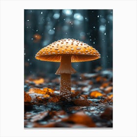 Mushroom In The Rain Canvas Print