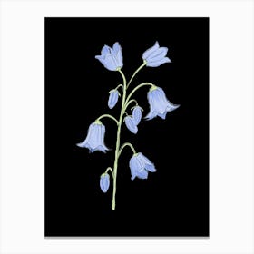 Bluebell Flowers on Navy Canvas Print