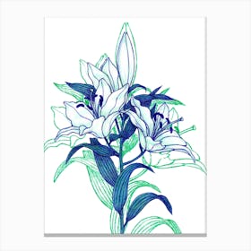 Lilies With Shadow Canvas Print