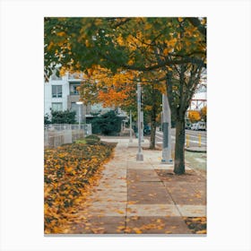 Autumn Urban Sidewalk Canvas Print