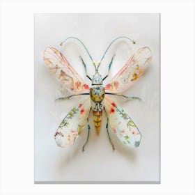 Beetle butterfly Canvas Print