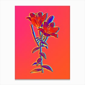 Neon Orange Bulbous Lily Botanical in Hot Pink and Electric Blue n.0417 Canvas Print
