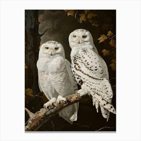 Snowy Owls 2 Canvas Print